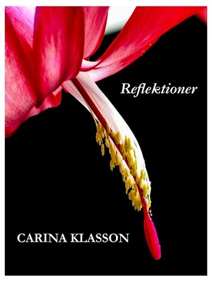 cover image of Reflektioner